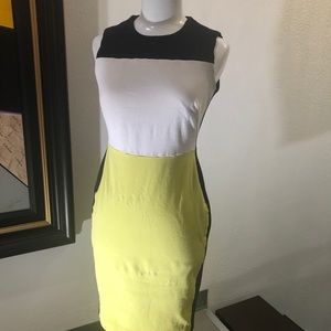 Calvin Klein Womens B/W&Y Colorblock Dress